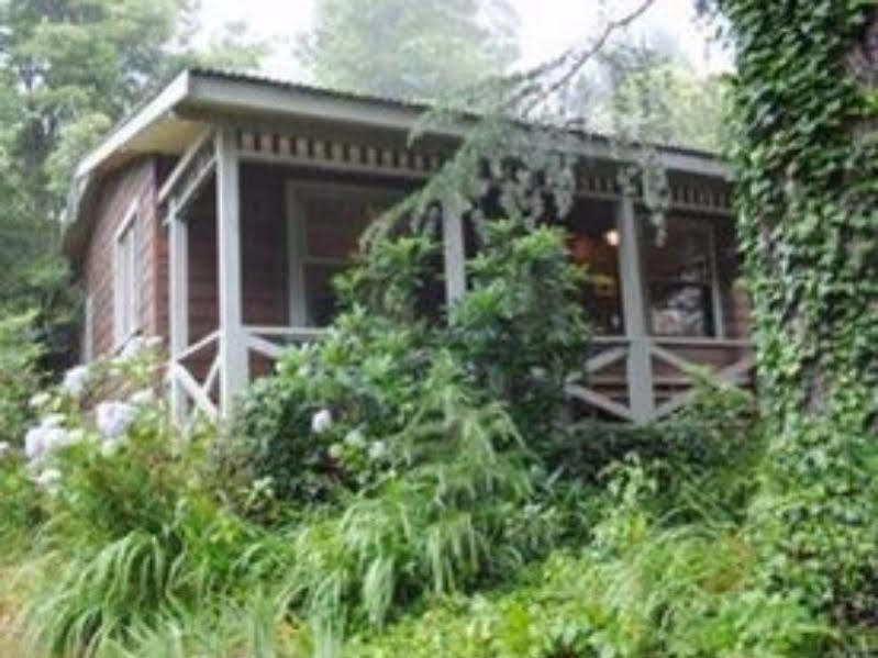 Bygone Beautys Cottages Leura Eksteriør billede